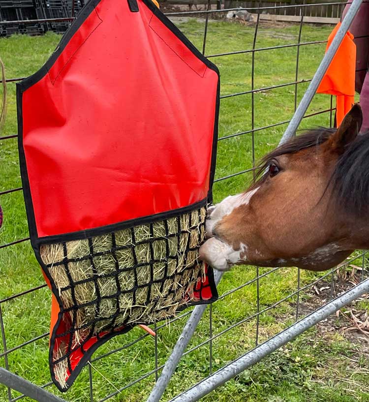 Canvas hay bags online for horses