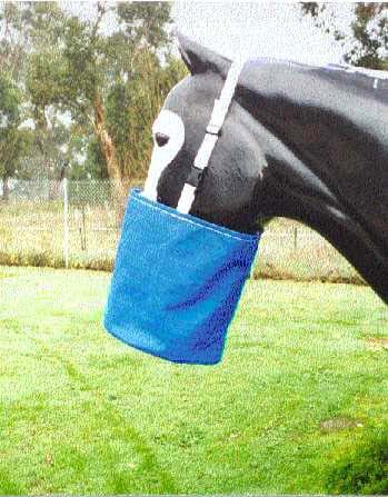 Horse nosebag online feeder